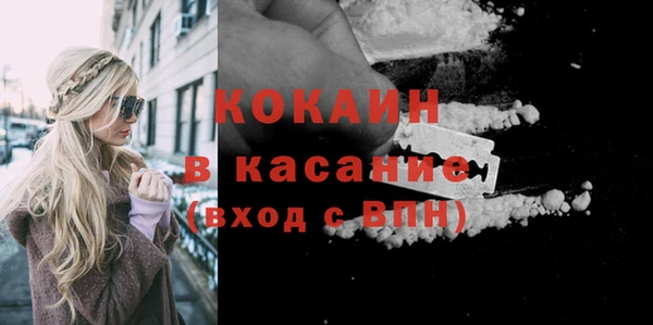 стафф Надым