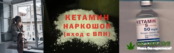 крисы Наволоки