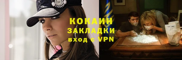 стаф Нея