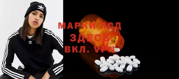 стафф Надым