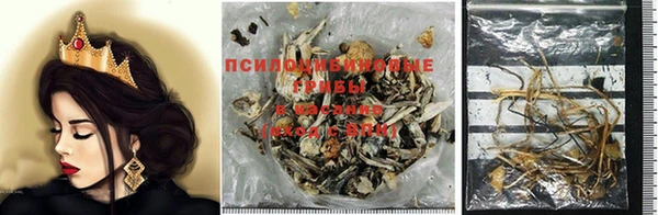 крисы Наволоки