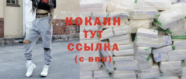 стафф Надым