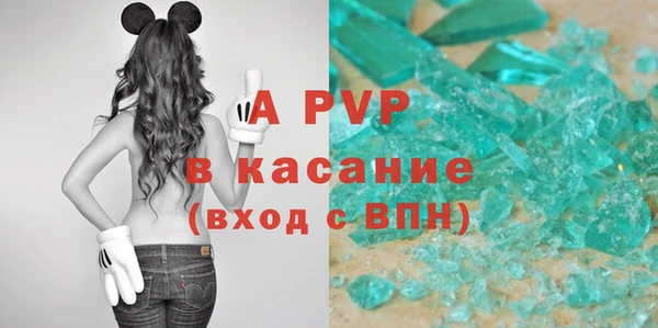 стафф Надым