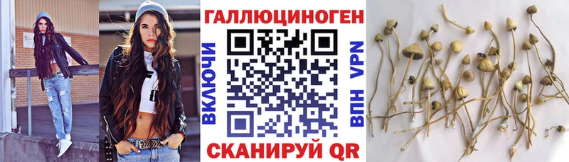 Галлюциногенные грибы Psilocybine cubensis  blacksprut ONION  Комсомольск 